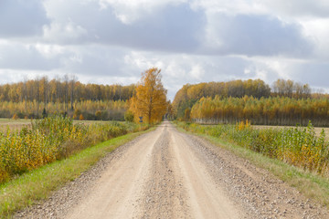 Fototapeta na wymiar Autumn scene with winding asphalt road in the countryside. 