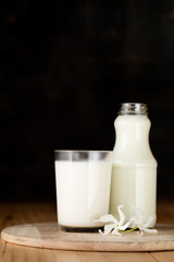 Obraz na płótnie Canvas Glass of milk and a bottle of fresh milk
