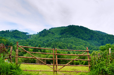 Fototapeta na wymiar rustic wood log branch gate and green forest on hill in the background
