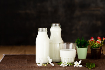 Obraz na płótnie Canvas milk healthy dairy products on the table