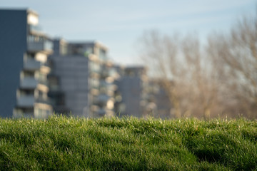 Grass with buildings in the bokeh background