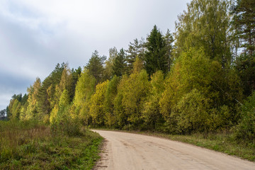 A wide dirt road among autumn trees with yellow leaves.