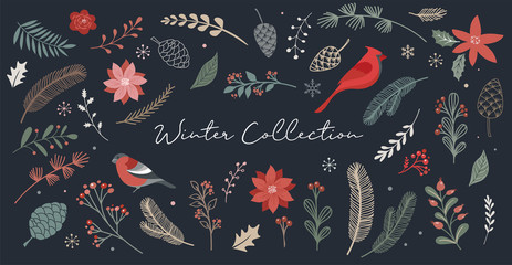 Botanical Christmas, Xmas elements, winter flowers, leaves, birds and pinecones isolated on white backgrounds. 