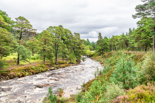 River Dee, Linn Of Dee, Mar Lodge Estate, Aberdeenshire, Scotland