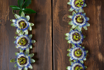 passion flowers on dark wooden surface