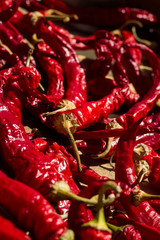 Dried red pepper background. Process of natural drying red pepper on sun.