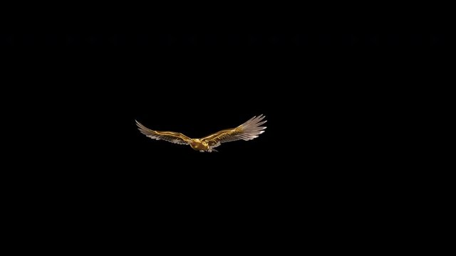 Metallic eagle bird in flying transition (V). Golden and silver feathers. 3D model animation with alpha channel isolated on transparent background.
