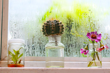 Working in a coffee shop. Laptops were paired with tea, flowers, vases and cakes.Working in a cafe allowing us to enjoy the environment well.