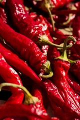 Dried red pepper background. Process of natural drying red pepper on sun.