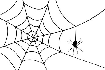 Halloween Concept background with a spider are making webs.
