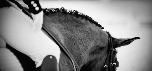 Fotobehang Not color image of the pigtails on neck sports horse. Equestrian sport. © Azaliya (Elya Vatel)