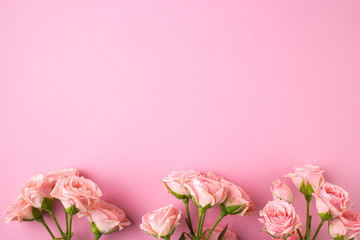 Fototapeta na wymiar Pink rose flowers on pastel pink background.