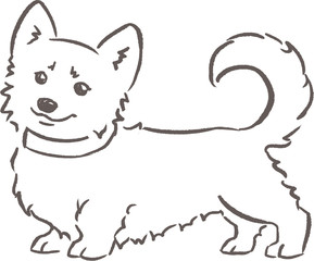 Shama the corgi stays with a collar. Dog behaviour and rules for owners. Hand drawn outline illustration.