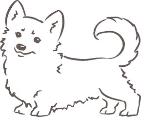 Shama the corgi. Dog behaviour and rules for owners. Hand drawn outline illustration.