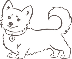 Shama the corgi stays with a collar and tag. Dog behaviour and rules for owners. Hand drawn outline illustration.