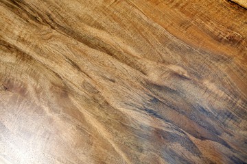 Texture Background of Wooden Wood
