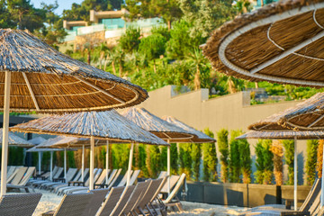 tropical summer vacation time background