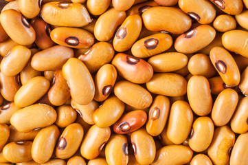 Beans varieties chocolate bowl close-up. Macro shot.