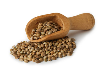Organic whole hemp seeds in wooden scoop  isolated on white background