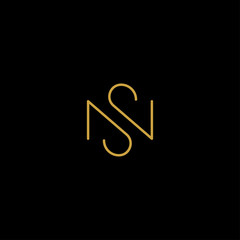 Letter S N SN NS Logo Design Simple Vector