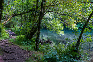 Arc natural Fragea de Eume, Galice, Espagne.