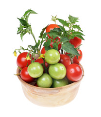 fresh green and red cherry tomatoes with green leaves isolated on white background