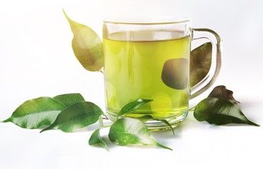 Green Tea Leaves and Green Tea in Cup