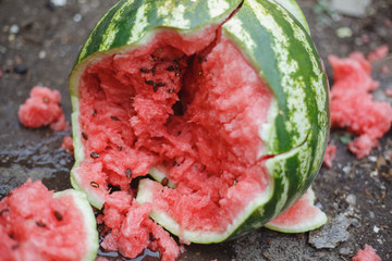 Watermelon fell on the ground, black background.