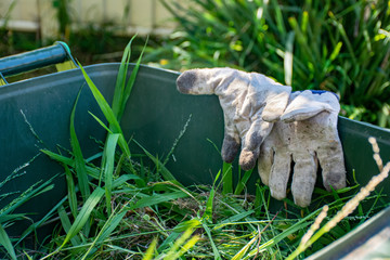 Green bin container filled with garden waste. Dirty gardening gloves. Spring clean up in the garden. Recycling garbage for a better environment.