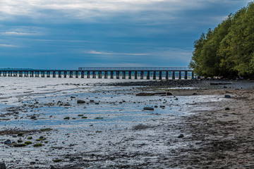Late Afternoon Low Tide on Bellingham Bay by Abandoned Pier