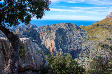 Mallorca panorama view with Mountains and green forest and blue sky 