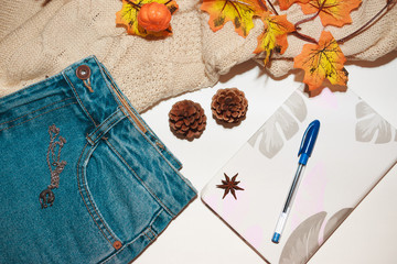 Autumn layout. A cup of black tea with lemon. Warm yellow sweater and jeans. Notepad and blue ballpoint pen for notes.