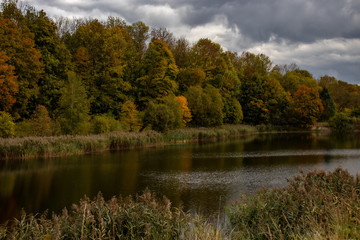 Fototapeta na wymiar Autumn landscape, colorful forest on the lake