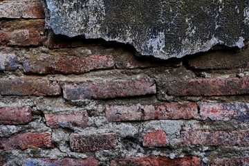 The old wall, which has a layer of cement peeled off, shows the bricks. Close-up of plant growth on cracked and mossy old cement walls. Incredible background with open space for text or as a vintage