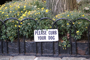Please curb your dog sign in the park