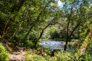 Arc natural Fragea de Eume, Galice, Espagne.
