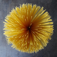 A Spiral of Dried Spaghetti Viewed from Above