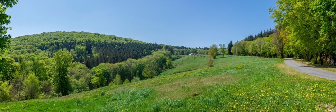 Mont Beuvray