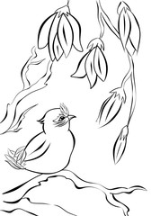 Isolated line illustration jay bird sitting on the tree, blossoming flowers on background