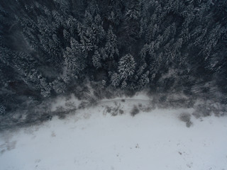 stunning panorama of the winter forest, conifers with snow, aerial view from a flying drone, shooting from a copter, Moscow Region, Russia