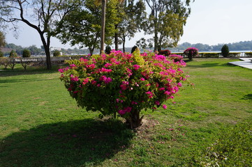 This Photograph Is Captured By Sumit Sunta At India New Delhi, Bhiwadi & Jaipur