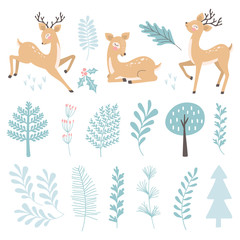 Set with christmas deer and branch, leaves. Vector