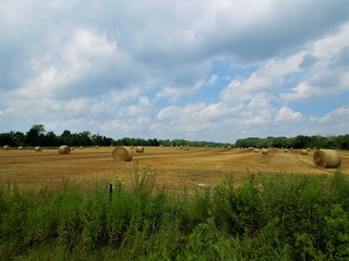 Large field of round bales of hay under cloudy sky