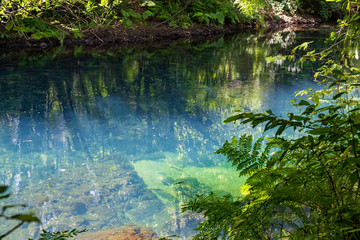 Arc natural Fragea de Eume, Galice, Espagne.