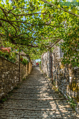 Traditional alley in Mikro Papingo village in Ioannina during summer, Greece