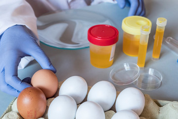 Scientist at laboratory investigates the crisis caused by the fraud of the contaminated eggs with fipronil in Spain