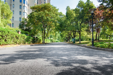 asphalt road and green tree in countryside