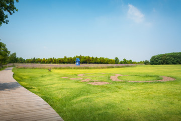 A large lawn in an outdoor park