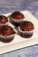 Chocolate cupcakes over square white plate and blue blurred background with copy space