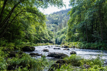 Arc natural Fragea de Eume, Galice, Espagne.